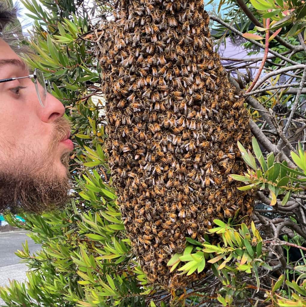 Ben's Bees Instagram 3