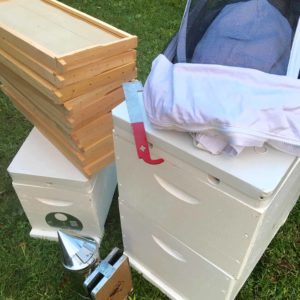 Full package beehive for sale